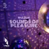 Imazue - Sounds Of Pleasure - Single